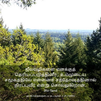 Picture 03 - அப்போஸ்தலருடைய நடபடிகள் 2:28 TAMIRV - ஜீவவழிகளை - Bible Verse Picture