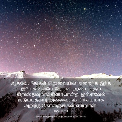 Picture 03 - அப்போஸ்தலருடைய நடபடிகள் 2:36 TAMIRV - ஆகவே, நீங்கள் - Bible Verse Picture