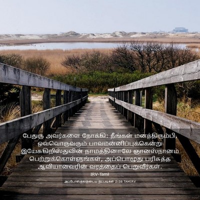 Picture 03 - அப்போஸ்தலருடைய நடபடிகள் 2:38 TAMIRV - பேதுரு அவர்களை - Bible Verse Picture