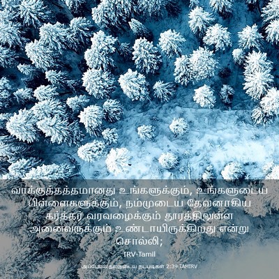 Picture 03 - அப்போஸ்தலருடைய நடபடிகள் 2:39 TAMIRV -  - Bible Verse Picture