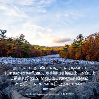 Picture 03 - அப்போஸ்தலருடைய நடபடிகள் 2:42 TAMIRV - அவர்கள் - Bible Verse Picture