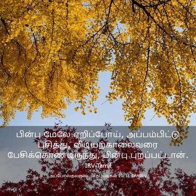 Picture 03 - அப்போஸ்தலருடைய நடபடிகள் 20:11 TAMIRV - பின்பு மேலே - Bible Verse Picture