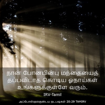 Picture 03 - அப்போஸ்தலருடைய நடபடிகள் 20:29 TAMIRV - நான் போனபின்பு - Bible Verse Picture