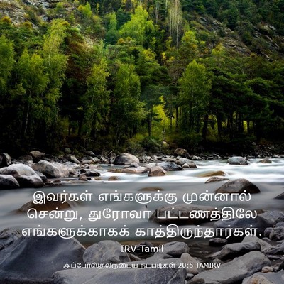 Picture 03 - அப்போஸ்தலருடைய நடபடிகள் 20:5 TAMIRV - இவர்கள் - Bible Verse Picture