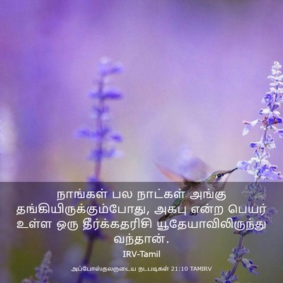 Picture 03 - அப்போஸ்தலருடைய நடபடிகள் 21:10 TAMIRV - நாங்கள் பல - Bible Verse Picture