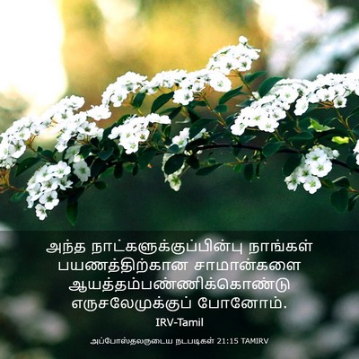 Picture 03 - அப்போஸ்தலருடைய நடபடிகள் 21:15 TAMIRV - அந்த - Bible Verse Picture