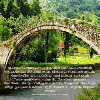 Picture 03 - அப்போஸ்தலருடைய நடபடிகள் 21:21 TAMIRV -  - Bible Verse Picture