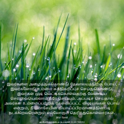 Picture 03 - அப்போஸ்தலருடைய நடபடிகள் 21:24 TAMIRV - இவர்களை - Bible Verse Picture