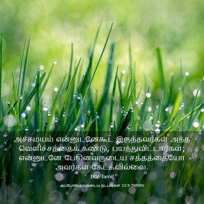 Picture 03 - அப்போஸ்தலருடைய நடபடிகள் 22:9 TAMIRV - அச்சமயம் - Bible Verse Picture