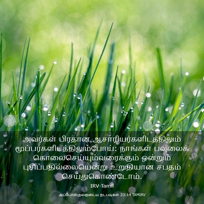 Picture 03 - அப்போஸ்தலருடைய நடபடிகள் 23:14 TAMIRV - அவர்கள் பிரதான - Bible Verse Picture