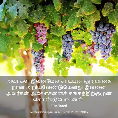 Picture 03 - அப்போஸ்தலருடைய நடபடிகள் 23:28 TAMIRV - அவர்கள் இவன்மேல் - Bible Verse Picture