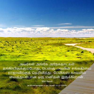 Picture 03 - அப்போஸ்தலருடைய நடபடிகள் 25:14 TAMIRV - அவர்கள் அங்கே - Bible Verse Picture