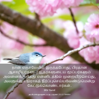 Picture 03 - அப்போஸ்தலருடைய நடபடிகள் 25:15 TAMIRV - நான் எருசலேமில் - Bible Verse Picture