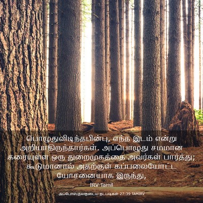 Picture 03 - அப்போஸ்தலருடைய நடபடிகள் 27:39 TAMIRV -  - Bible Verse Picture