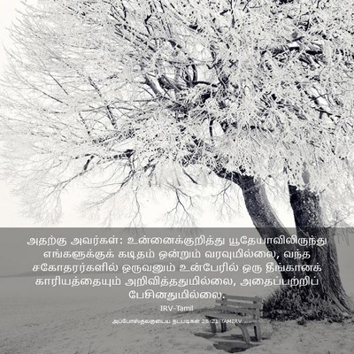 Picture 03 - அப்போஸ்தலருடைய நடபடிகள் 28:21 TAMIRV - அதற்கு அவர்கள்: - Bible Verse Picture
