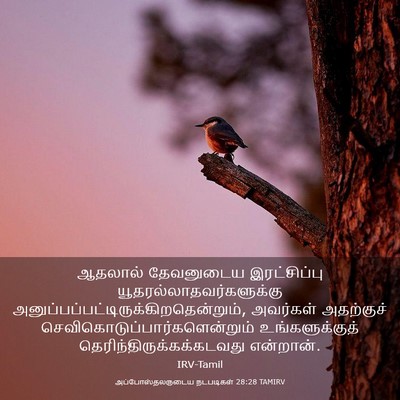 Picture 03 - அப்போஸ்தலருடைய நடபடிகள் 28:28 TAMIRV - ஆதலால் தேவனுடைய - Bible Verse Picture