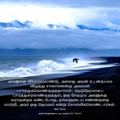 Picture 03 - அப்போஸ்தலருடைய நடபடிகள் 28:6 TAMIRV - அவனுக்கு - Bible Verse Picture