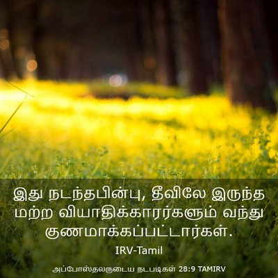 Picture 03 - அப்போஸ்தலருடைய நடபடிகள் 28:9 TAMIRV - இது நடந்தபின்பு, - Bible Verse Picture