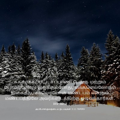 Picture 03 - அப்போஸ்தலருடைய நடபடிகள் 3:11 TAMIRV - சுகமாக்கப்பட்ட - Bible Verse Picture