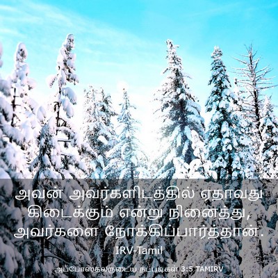 Picture 03 - அப்போஸ்தலருடைய நடபடிகள் 3:5 TAMIRV - அவன் - Bible Verse Picture