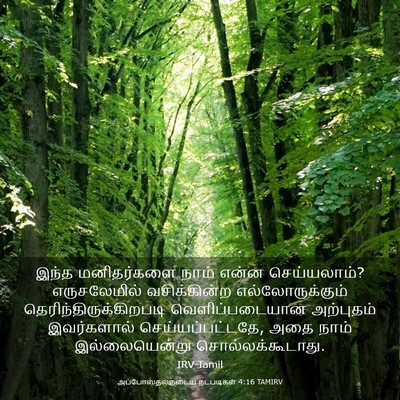 Picture 03 - அப்போஸ்தலருடைய நடபடிகள் 4:16 TAMIRV - இந்த மனிதர்களை - Bible Verse Picture
