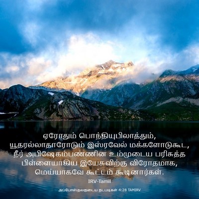 Picture 03 - அப்போஸ்தலருடைய நடபடிகள் 4:28 TAMIRV - ஏரோதும் - Bible Verse Picture