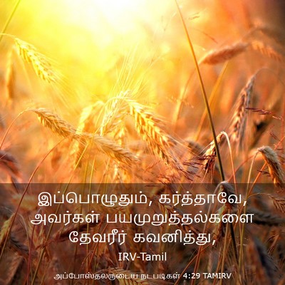 Picture 03 - அப்போஸ்தலருடைய நடபடிகள் 4:29 TAMIRV - இப்பொழுதும், - Bible Verse Picture