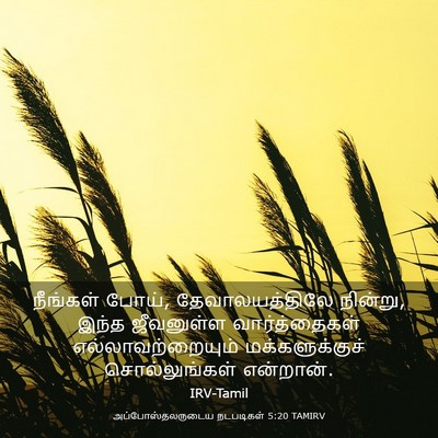 Picture 03 - அப்போஸ்தலருடைய நடபடிகள் 5:20 TAMIRV - நீங்கள் போய், - Bible Verse Picture