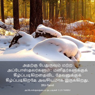 Picture 03 - அப்போஸ்தலருடைய நடபடிகள் 5:29 TAMIRV - அதற்கு பேதுருவும் - Bible Verse Picture