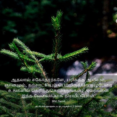 Picture 03 - அப்போஸ்தலருடைய நடபடிகள் 6:3 TAMIRV - ஆதலால் - Bible Verse Picture
