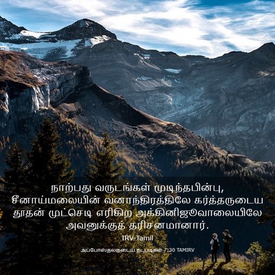 Picture 03 - அப்போஸ்தலருடைய நடபடிகள் 7:30 TAMIRV - நாற்பது வருடங்கள் - Bible Verse Picture