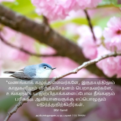Picture 03 - அப்போஸ்தலருடைய நடபடிகள் 7:51 TAMIRV - “வணங்காக் - Bible Verse Picture