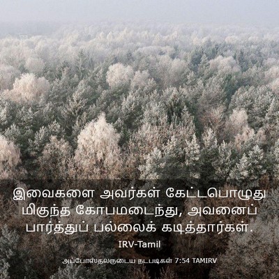 Picture 03 - அப்போஸ்தலருடைய நடபடிகள் 7:54 TAMIRV - இவைகளை அவர்கள் - Bible Verse Picture