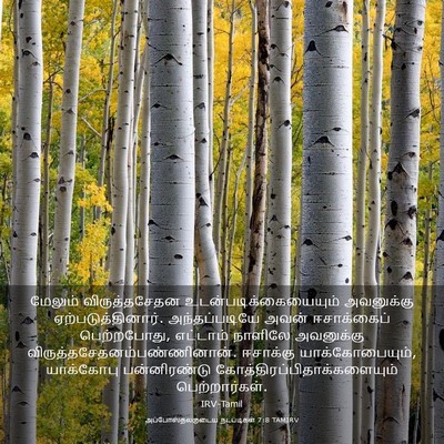 Picture 03 - அப்போஸ்தலருடைய நடபடிகள் 7:8 TAMIRV - மேலும் - Bible Verse Picture