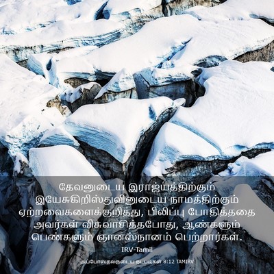 Picture 03 - அப்போஸ்தலருடைய நடபடிகள் 8:12 TAMIRV - தேவனுடைய - Bible Verse Picture