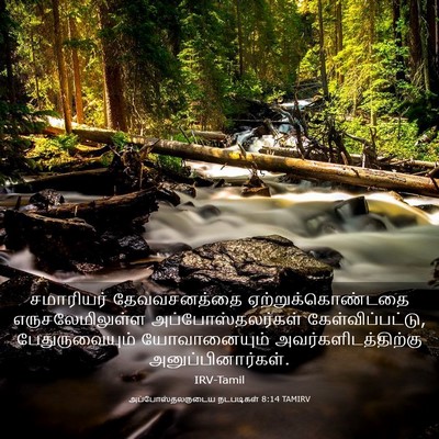 Picture 03 - அப்போஸ்தலருடைய நடபடிகள் 8:14 TAMIRV - சமாரியர் - Bible Verse Picture
