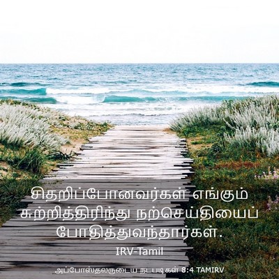 Picture 03 - அப்போஸ்தலருடைய நடபடிகள் 8:4 TAMIRV - சிதறிப்போனவர்கள் - Bible Verse Picture
