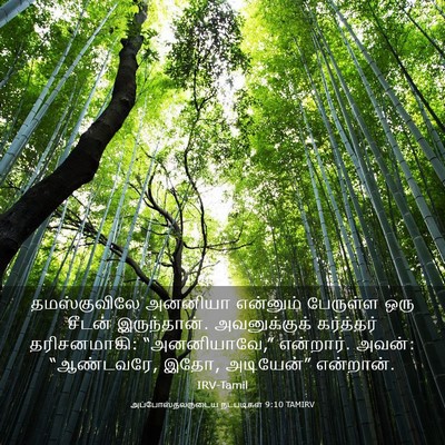 Picture 03 - அப்போஸ்தலருடைய நடபடிகள் 9:10 TAMIRV - தமஸ்குவிலே அனனியா - Bible Verse Picture