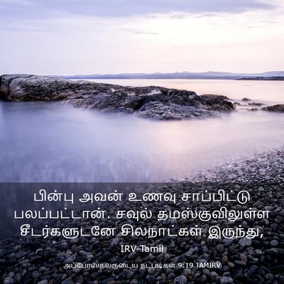 Picture 03 - அப்போஸ்தலருடைய நடபடிகள் 9:19 TAMIRV - பின்பு அவன் உணவு - Bible Verse Picture