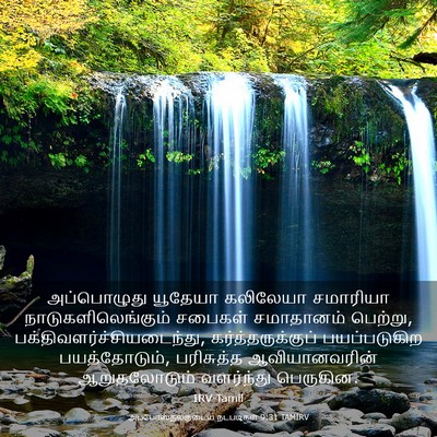 Picture 03 - அப்போஸ்தலருடைய நடபடிகள் 9:31 TAMIRV - அப்பொழுது யூதேயா - Bible Verse Picture