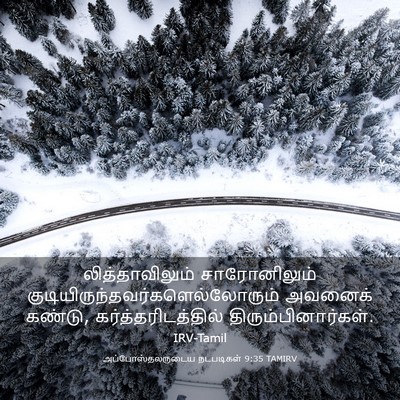 Picture 03 - அப்போஸ்தலருடைய நடபடிகள் 9:35 TAMIRV - லித்தாவிலும் - Bible Verse Picture