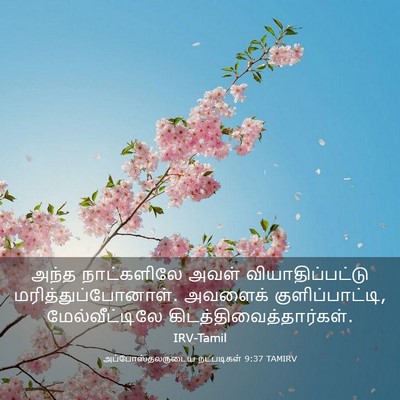 Picture 03 - அப்போஸ்தலருடைய நடபடிகள் 9:37 TAMIRV - அந்த நாட்களிலே - Bible Verse Picture