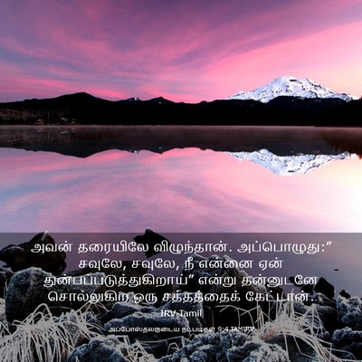 Picture 03 - அப்போஸ்தலருடைய நடபடிகள் 9:4 TAMIRV - அவன் தரையிலே - Bible Verse Picture