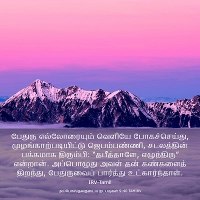 Picture 03 - அப்போஸ்தலருடைய நடபடிகள் 9:40 TAMIRV - பேதுரு - Bible Verse Picture