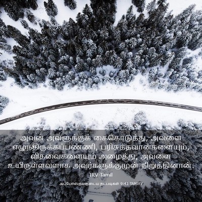 Picture 03 - அப்போஸ்தலருடைய நடபடிகள் 9:41 TAMIRV - அவன் அவளுக்குக் - Bible Verse Picture