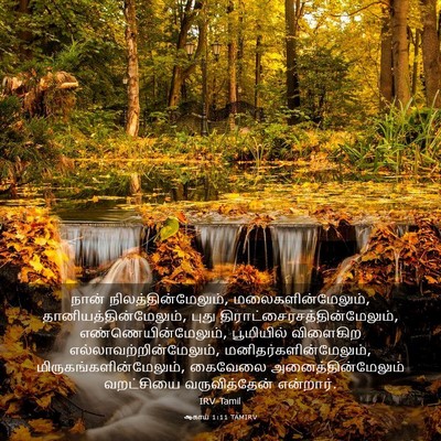 Picture 03 - ஆகாய் 1:11 TAMIRV - நான் - Bible Verse Picture