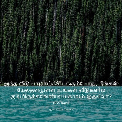 Picture 03 - ஆகாய் 1:4 TAMIRV - இந்த வீடு - Bible Verse Picture