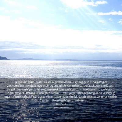 Picture 03 - ஆகாய் 2:11 TAMIRV - ஒருவன் தன் - Bible Verse Picture