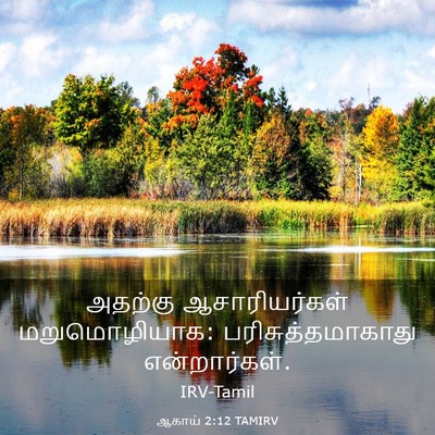 Picture 03 - ஆகாய் 2:12 TAMIRV - அதற்கு - Bible Verse Picture