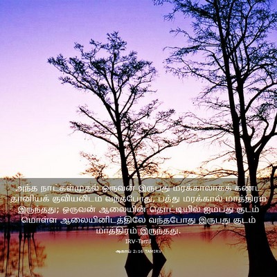 Picture 03 - ஆகாய் 2:16 TAMIRV - அந்த நாட்கள்முதல் - Bible Verse Picture